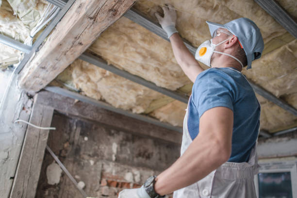 Best Insulation Maintenance and Repair in Merritt Island, FL